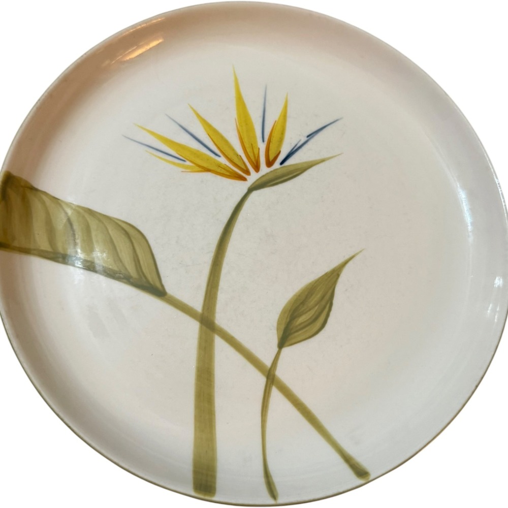 Vintage Winfield China Bird of Paradise Dinner Plates Set of 2 MCM Handcrafted